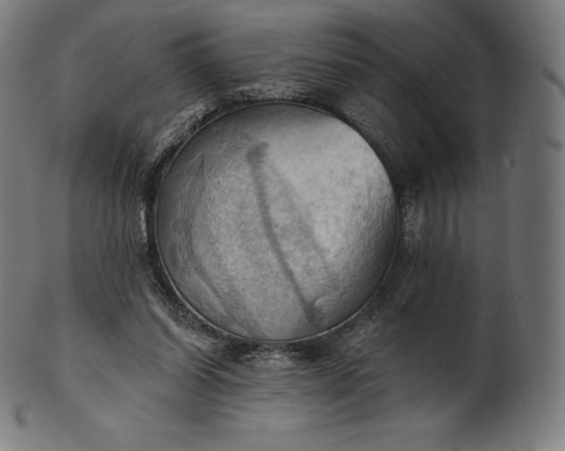 X0000101210254200807111040