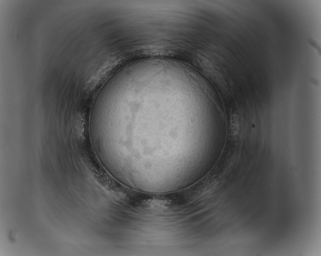 X0000101210255200807111040