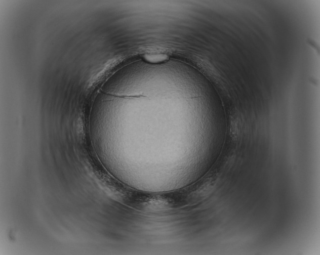 X0000101210256200807111040