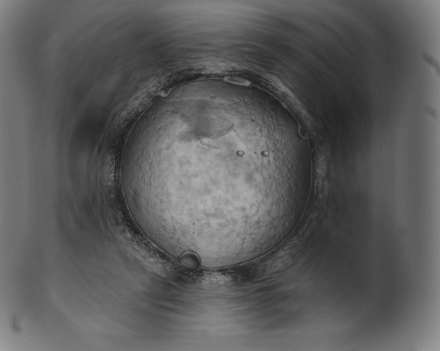 X0000101210257200807111040