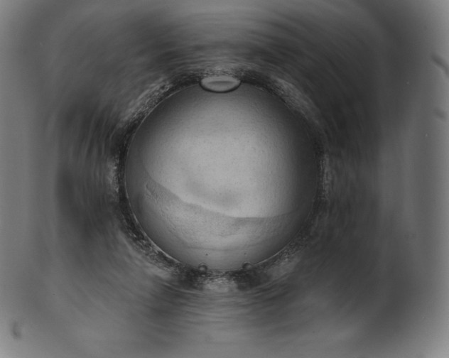 X0000101210258200807111040