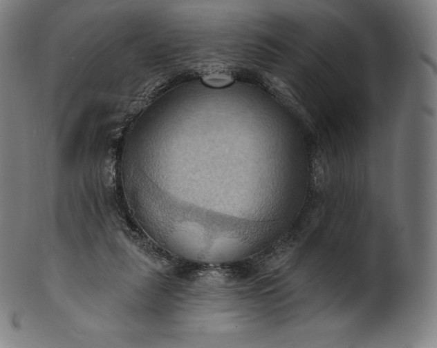 X0000101210259200807111040