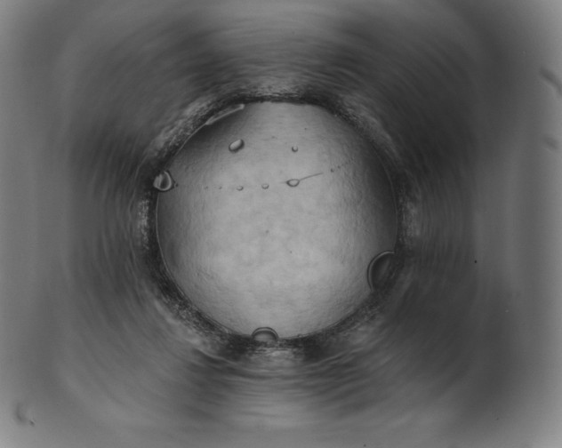 X0000101210260200807111040