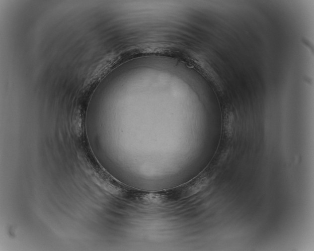 X0000101210261200807111040