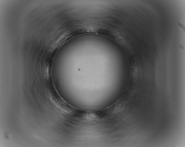 X0000101210262200807111040