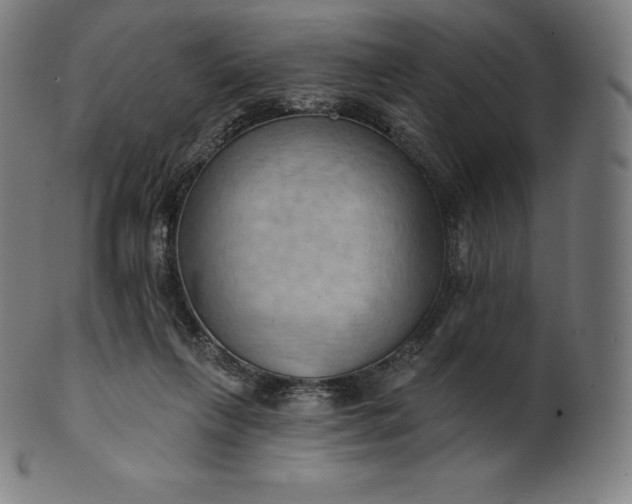 X0000101210263200807111040