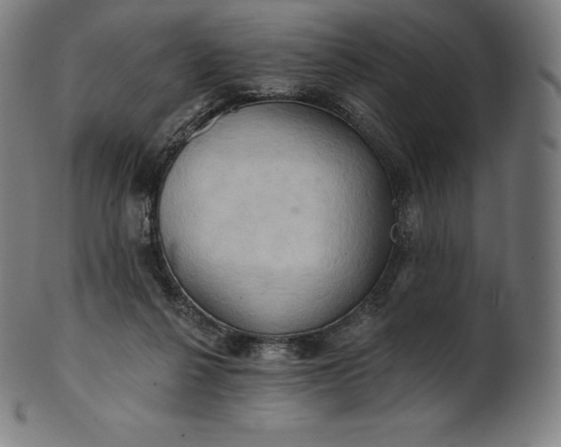 X0000101210264200807111040