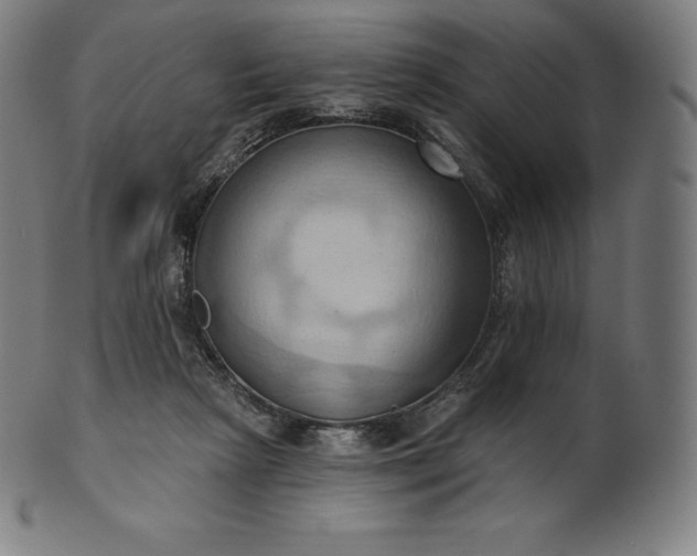 X0000101210265200807111040