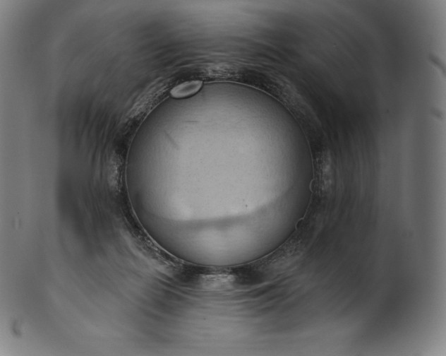 X0000101210266200807111040