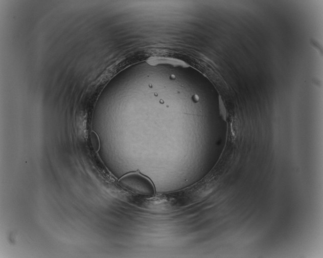 X0000101210267200807111040