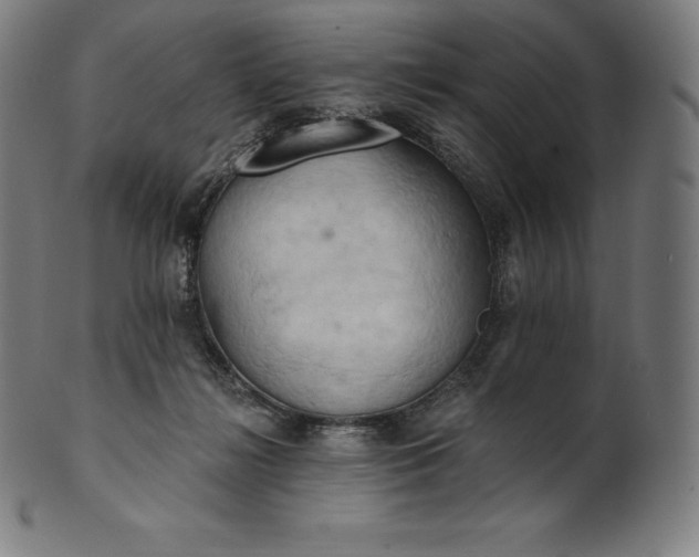 X0000101210268200807111040