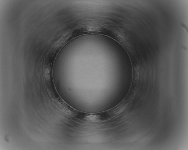 X0000101210269200807111040