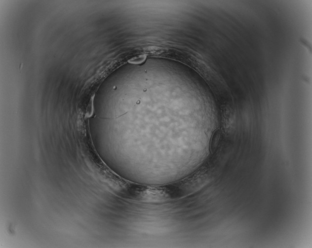 X0000101210270200807111040