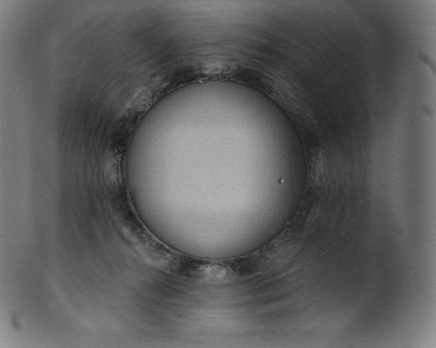 X0000101210272200807111040