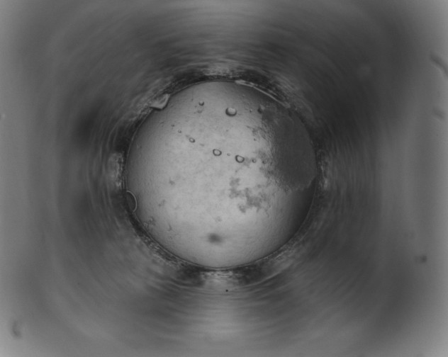 X0000101210273200807111040