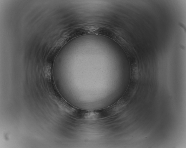 X0000101210274200807111040