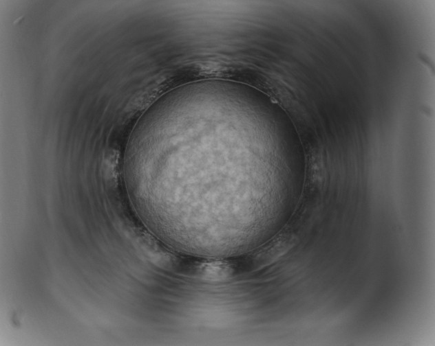 X0000101210275200807111040