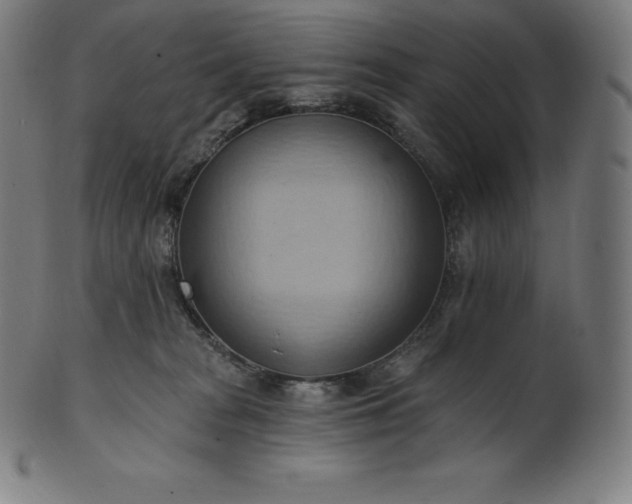 X0000101210277200807111040