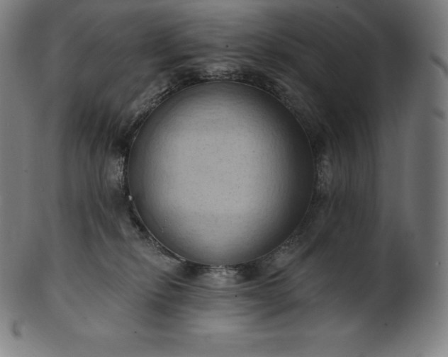 X0000101210278200807111040