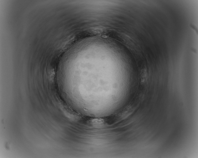 X0000101210279200807111040