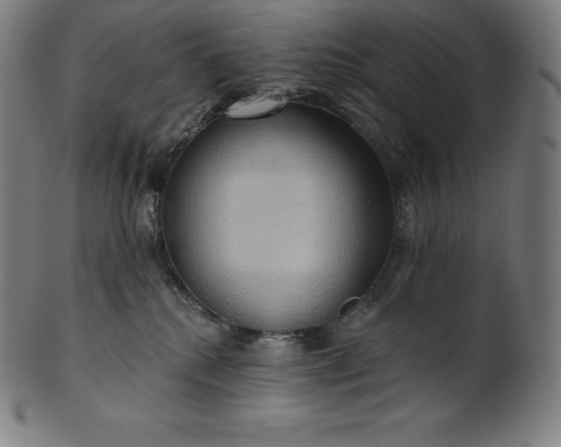 X0000101210280200807111040