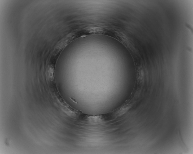 X0000101210281200807111040