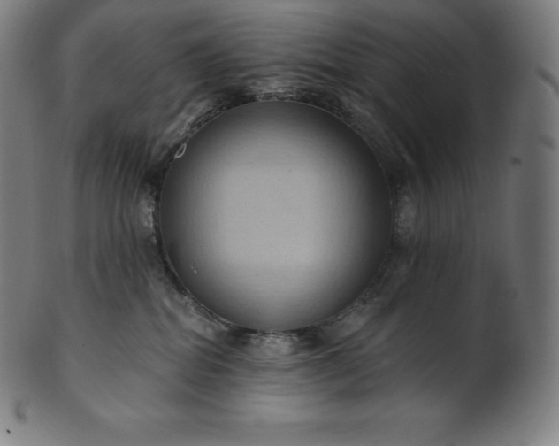 X0000101210282200807111040