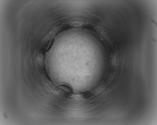 X0000101210283200807111040