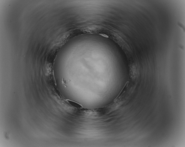 X0000101210284200807111040