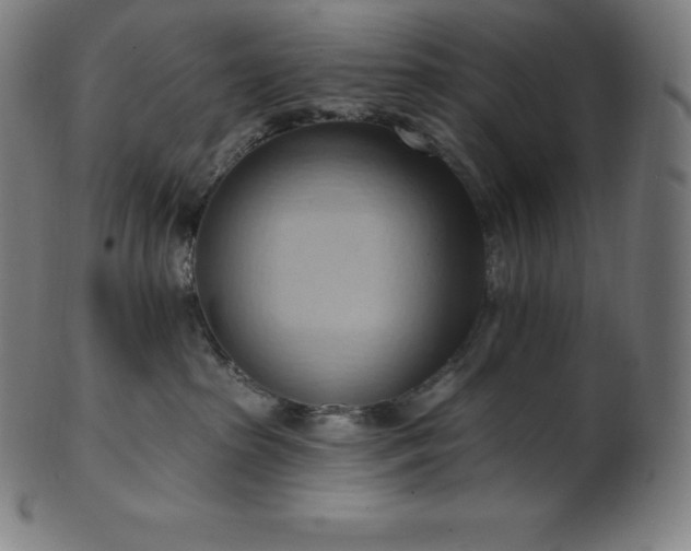 X0000101210285200807111040