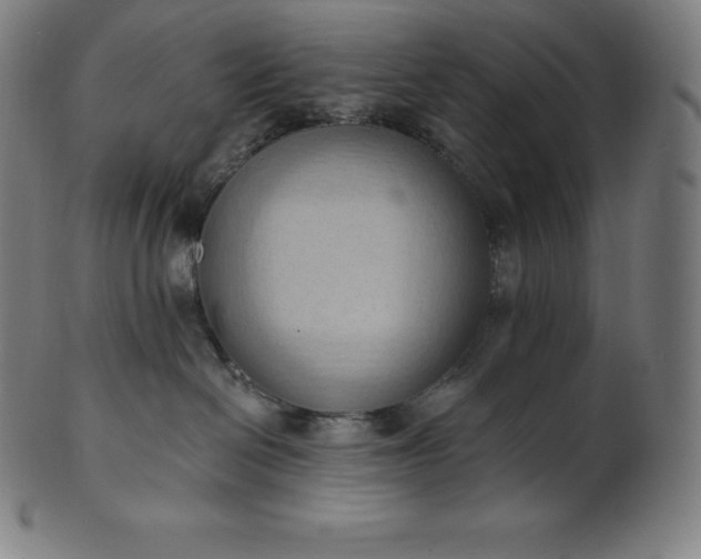 X0000101210286200807111040