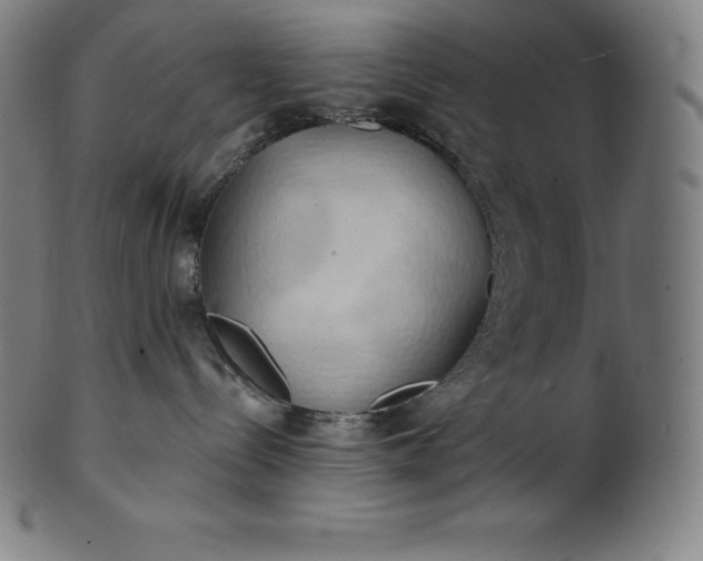 X0000101210288200807111040