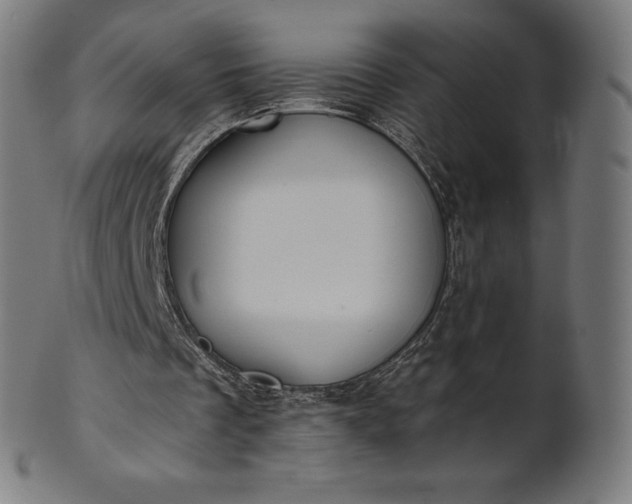 X0000101210289200807111040