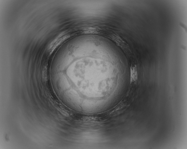 X0000101210291200807111039