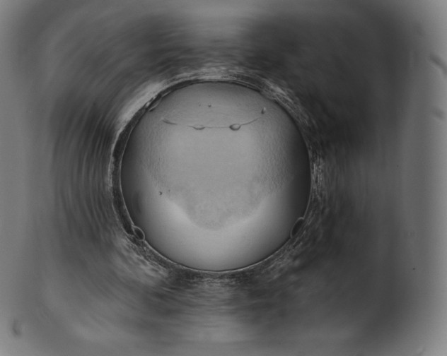 X0000101210292200807111039