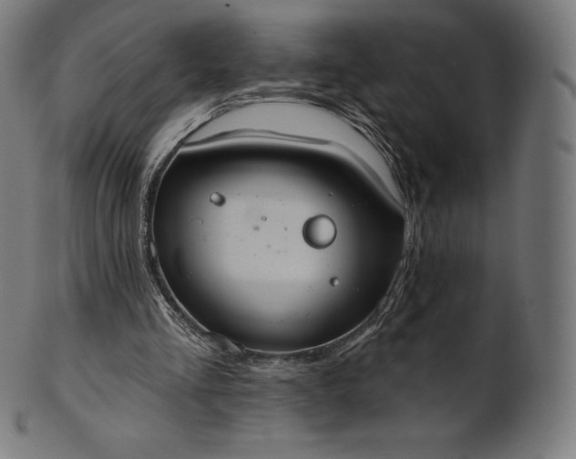 X0000101210293200807111039