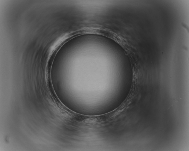 X0000101210294200807111039