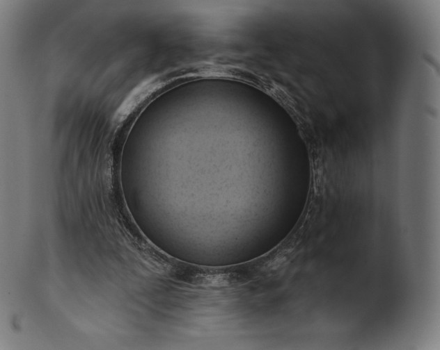 X0000101210295200807111039