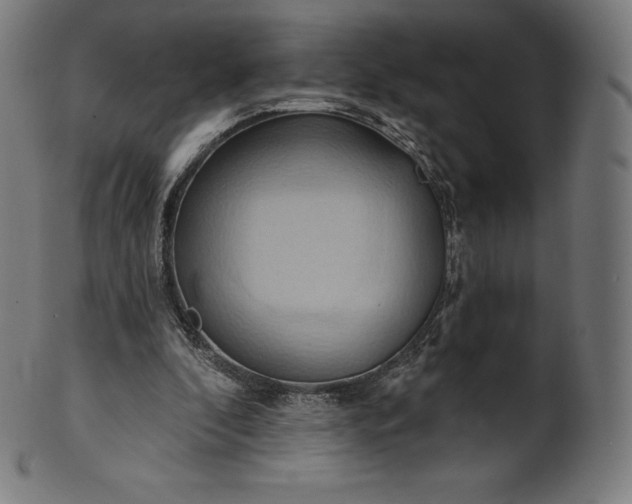 X0000101210296200807111039