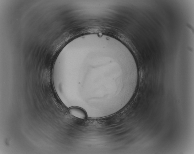 X0000101210297200807111039