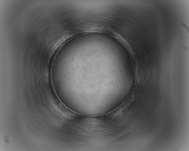 X0000101210298200807111039