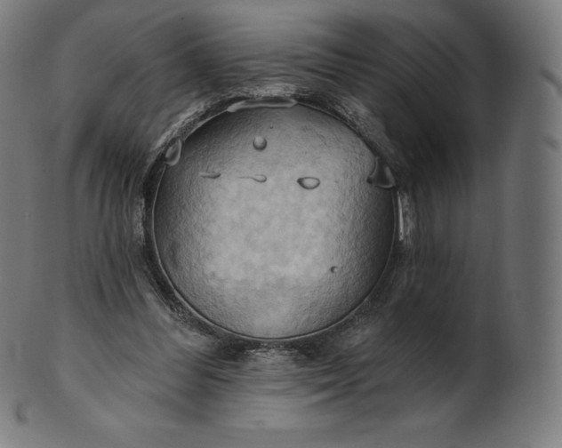 X0000101210300200807111039