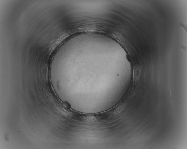 X0000101210301200807111039