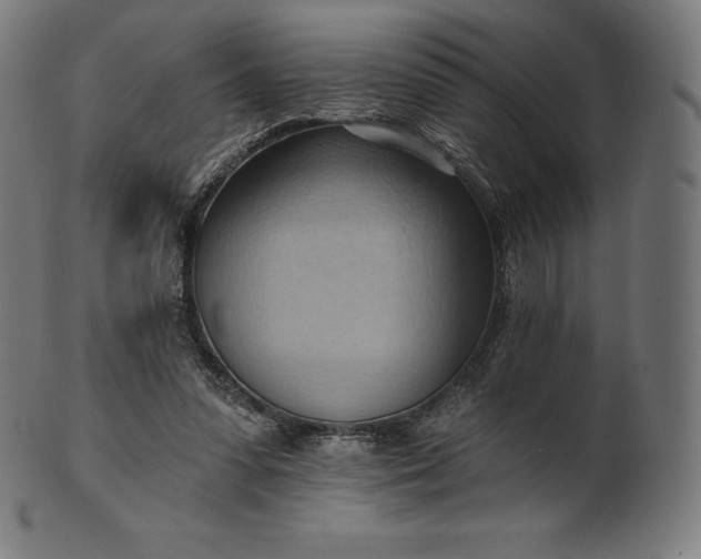 X0000101210303200807111039