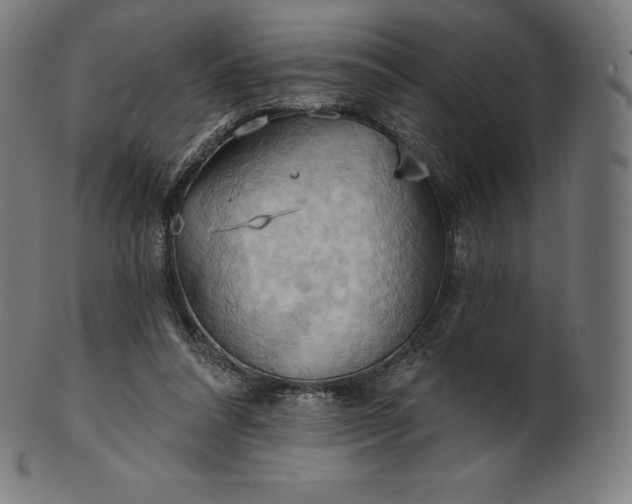 X0000101210304200807111039