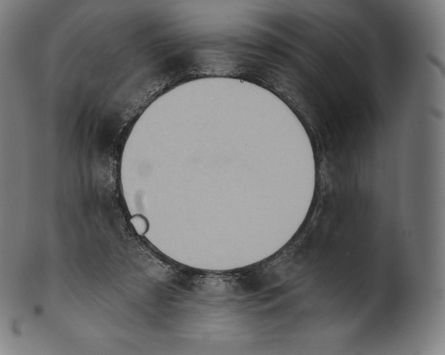 X0000101210305200807111039