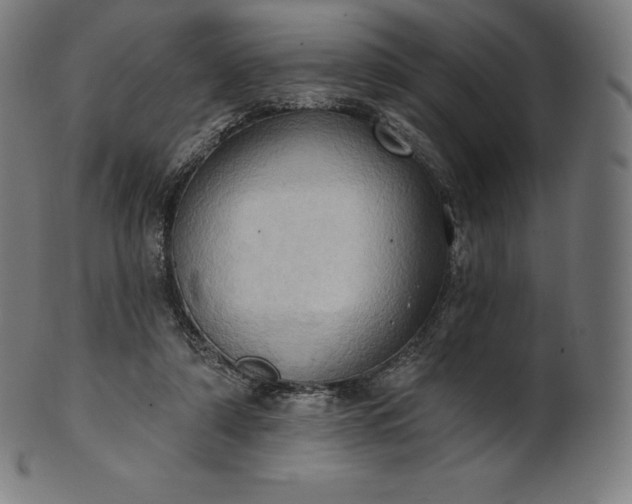 X0000101210306200807111039