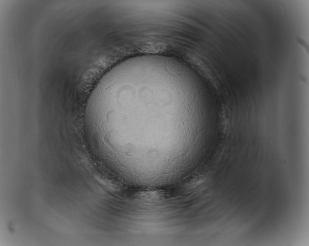 X0000101210307200807111039