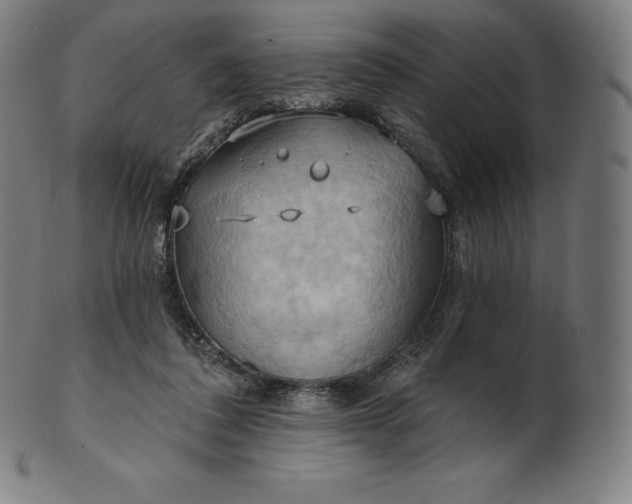 X0000101210308200807111039