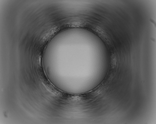 X0000101210310200807111039